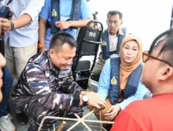 PT Telkom, LAZ Harfa dan FPKT Lanjutkan Gerakan Rehabilitasi Terumbu Karang