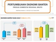 Pemprov Klaim Perekonomian Banten Triwulan IV Tahun 2024 Tumbuh 5,02 Persen Grafis pertumbuhan ekonomi Banten