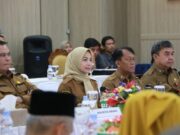 Ratu Zakiyah Curhat ke Ketua MPR, Minta Galian Pasir Ilegal Dibeberapa Wilayah Ditertibkan Bupati Serang Ratu Rachmatuzakiyah