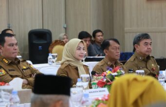 Ratu Zakiyah Curhat ke Ketua MPR, Minta Galian Pasir Ilegal Dibeberapa Wilayah Ditertibkan Bupati Serang Ratu Rachmatuzakiyah