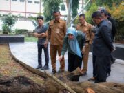 Jaga Keberlangsungan Pohon Langka, Gubernur Andra Soni Gandeng Tim IPB untuk Lakukan Penyelamatan Pemeriksaan Kesehatan pohon
