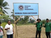 Gema Tani Pandeglang Berhasil, Mampu Pasok Hasil Panen ke Dapur MBG Mulyadi, Pelopor Gema Tani Pandeglang