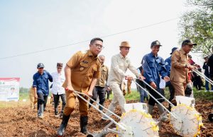 Andra Soni Canangkan Gerakan Tanam Jagung Hibrida di Kecamatan Maja Swasembada Jagung Hibrida