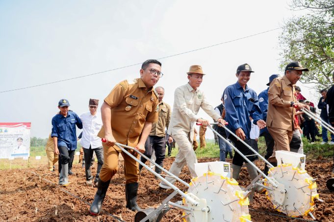 Swasembada Jagung Hibrida