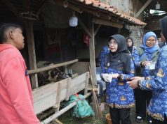 Pastikan Hewan Kurban Aman dan Layak Konsumsi, Bupati Pandeglang Lakukan Pemeriksaan Kesehatan Hewan Hewan Kurban