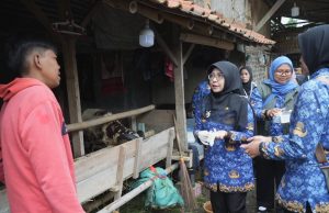 Pastikan Hewan Kurban Aman dan Layak Konsumsi, Bupati Pandeglang Lakukan Pemeriksaan Kesehatan Hewan Hewan Kurban