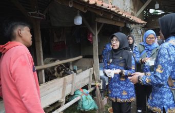 Pastikan Hewan Kurban Aman dan Layak Konsumsi, Bupati Pandeglang Lakukan Pemeriksaan Kesehatan Hewan Hewan Kurban