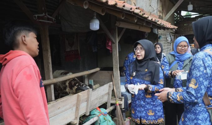 Pastikan Hewan Kurban Aman dan Layak Konsumsi, Bupati Pandeglang Lakukan Pemeriksaan Kesehatan Hewan Hewan Kurban