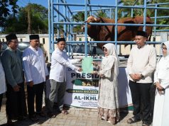 Bupati Pandeglang Dewi Salurkan Sapi Kurban Bantuan Presiden: Mudah-Mudahan Program Ini Berkah untuk Masyarakat Bantuan Hewan Kurban Presiden Prabowo