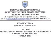 Pengumuman Seleksi Terbuka Jabatan Pimpinan Tinggi Pratama Kabupaten Pandeglang Tahun 2026