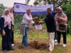 Jaga Kelestarian Alam, Mahasiswa Pascasarjana Uniba Tanam Bibit Meranti di Kawasan Tahura Mahasiswa Uniba
