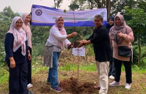 Jaga Kelestarian Alam, Mahasiswa Pascasarjana Uniba Tanam Bibit Meranti di Kawasan Tahura Mahasiswa Uniba
