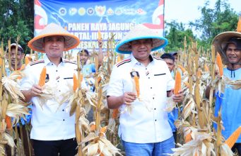 Dari Lahan 10 Hektare, Polda Banten Panen 20 Ton Jagung di Lebak Panen raya jagung kuartal III tahun 2026, di Kecamatan Cimarga, Kabupaten Lebak