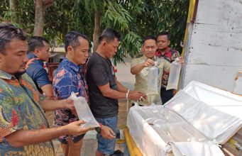 Polda Banten Berhasil Gagalkan Pengiriman 150 Ribu Benih Bening Lobster, Sopir Truk Berinisial FIR Diamankan Ditreskrimsus Polda Banten menunjukkan barang bukti 150.000 ekor Benih Bening Lobster